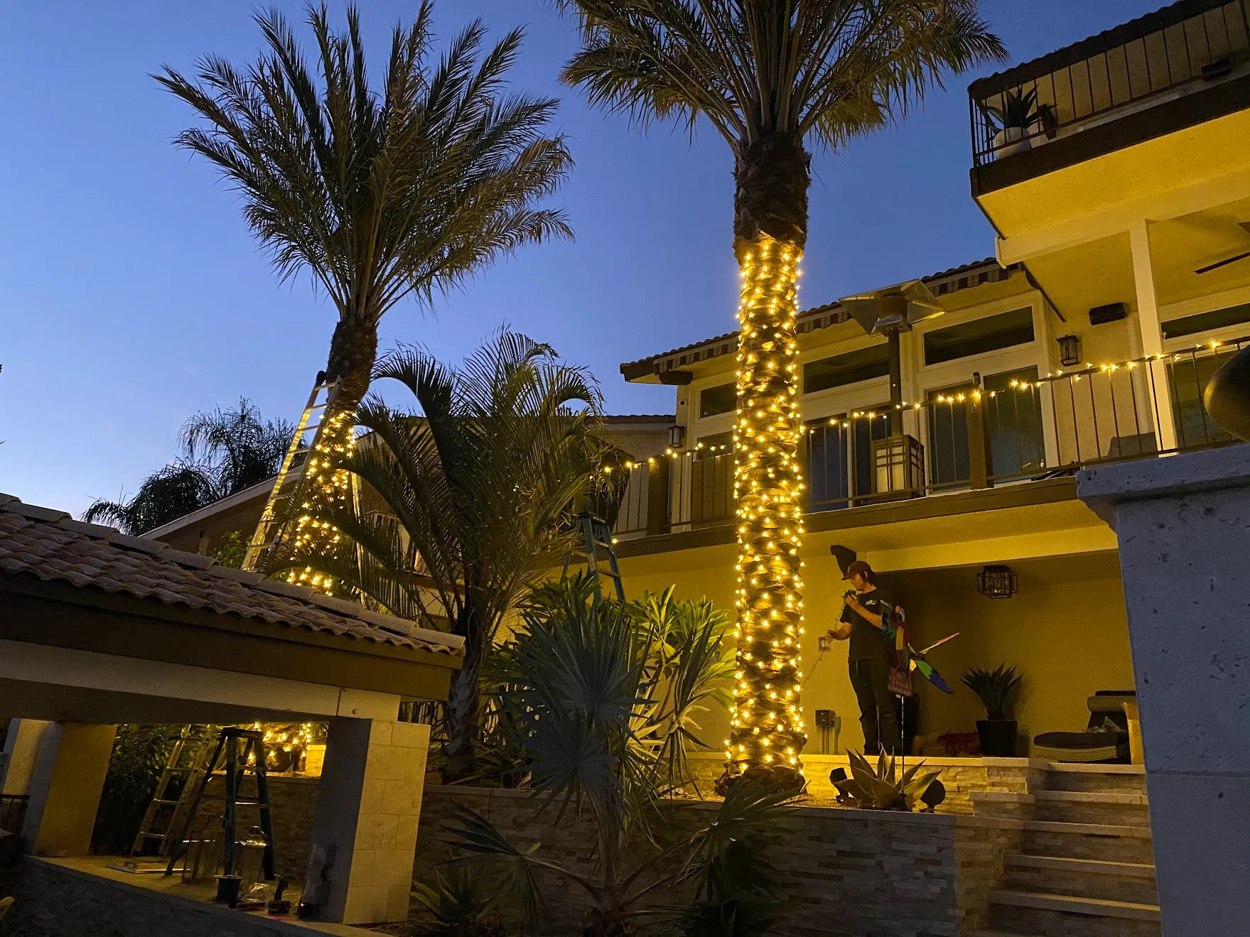 Clearvu installer wrapping palm trees in warm white lights at a Temecula Valley home